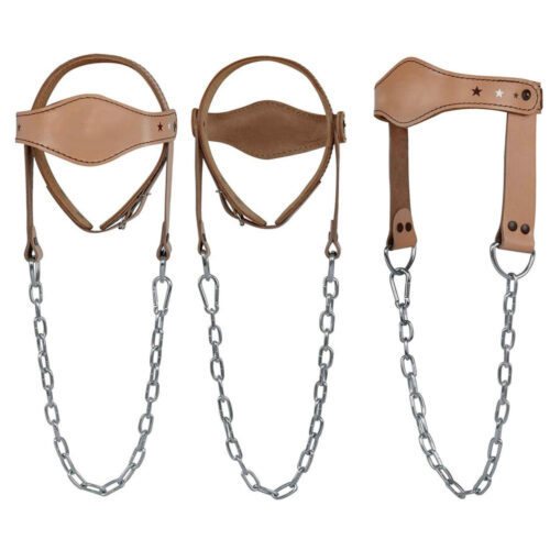 HEAD HARNESS